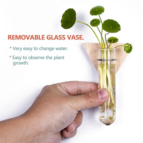 Wall Hanging Glass Planter Plant Propagation Station | Test Tube Vase, Wall Mounted Self-Adhesive Wooden Hydroponic Planter, for Home Office Wall Decor