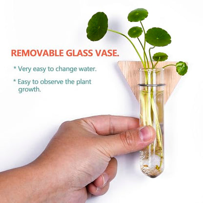 Wall Hanging Glass Planter Plant Propagation Station | Test Tube Vase, Wall Mounted Self-Adhesive Wooden Hydroponic Planter, for Home Office Wall Decor