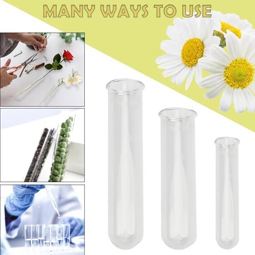 11 Pack Clear Glass Test Tubes Plant Propagation Station, 3 Sizes Wall Hanging and Desktop Glass Plant Propagation Station Hydroponic Vases for Home and Office Decor, Round Bottom