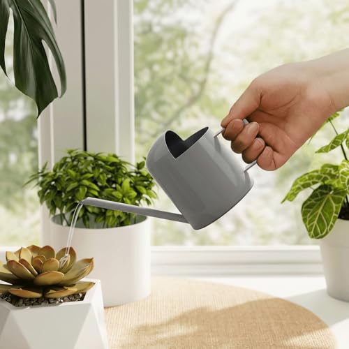 Bamworld Small Watering Can Indoor Outdoor Plant Black Metal Stainless Steel Long Spoutt Flowers Watering Cans for House Garden Plants 10OZ Watering Bottle Cute Stylish Gardening Decoration(Grey) - color: Gray