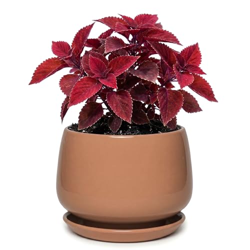 7.5 Inch Ceramic Planter with Saucer,Modern Garden Pots with Drainage Hole Mesh Net, for Indoor Outdoor Use(Reddish Brown) - color: Reddish Brown, size: 7.5 Inch