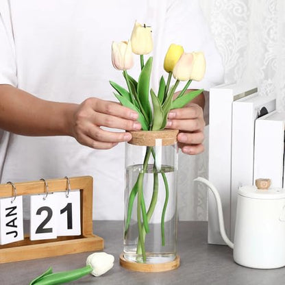 3 Pcs 3 Sizes Plant Propagation Station Separated Glass Plant Terrarium Water Hydroponic Planter Holder with Lid and Wooden Stand Propagation Vase Pot for Home Indoor Office(Various Sizes) - size: Various Sizes