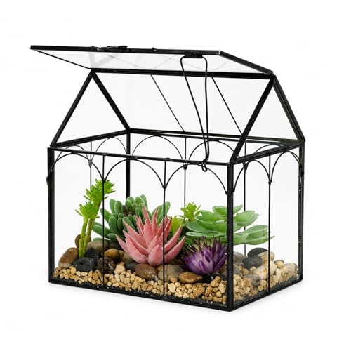 FerrisIsland Glass Plant Wardrobe Indoor Small Succulent Aquarium | FerrisIsland glass plant small succulent aquarium with desktop decoration DIY door (6 in long x 4.3 in wide x 6.3 in high) - size: 6" L x 4.3" W x 6.3" H