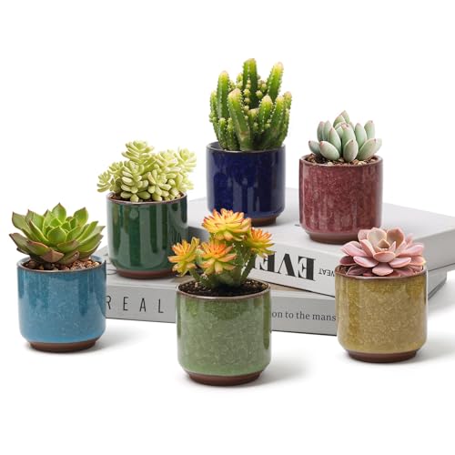 T4U 2.5 Inch Small Ceramic Succulent Planter Pot with Drainage Hole Set of 6, Ice Crack Glaze Plant Container for Cactus, Succulent Plant Gifts for Women Mom Aunt Home Office Decor | Deep root containers, for small cactus plants, bonsai tree starter pots,