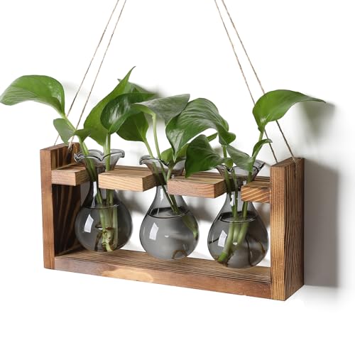 Plant Propagation Station Plant Terrarium Unique Birthday Gifts for Women | Plant Lovers Home Office Decor Planter with Wooden Stand - 3 Bulb Glass Vase - color: Gray