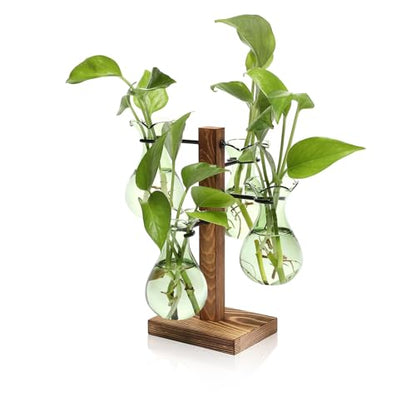 Plants Propagation Stations Bulb Glass Propagation Birthday Gift for Women | Garden Plant Lovers - 4 Bulb - color: Green