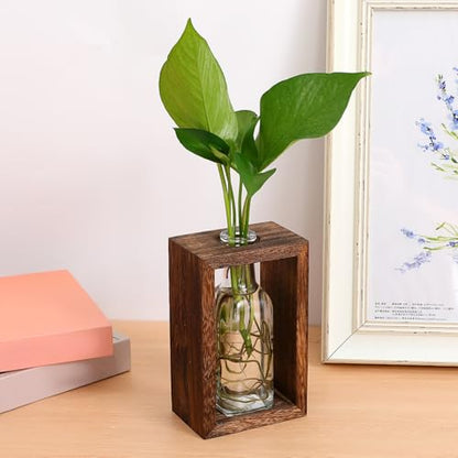 1set Rustic Wooden Desktop Planter Box with Transparent Glass Bottle for Easy Indoor Plant Propagation Versatile Hydroponic Display Suitable for Tabletop Decor and Desk Gardening