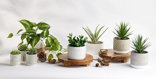 Kurrajong Farmhouse Dark Green Fake pothos | Fake Plant for Shelf Decor | Artificial Trailing Ivy Plant with 5" Wide Ceramic Pot | Faux pothos | Feaux Pothos | Bathroom and Kitchen Decor