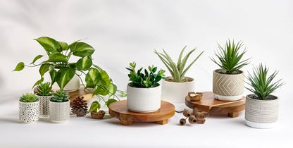 Kurrajong Farmhouse Dark Green Fake pothos | Fake Plant for Shelf Decor | Artificial Trailing Ivy Plant with 5" Wide Ceramic Pot | Faux pothos | Feaux Pothos | Bathroom and Kitchen Decor