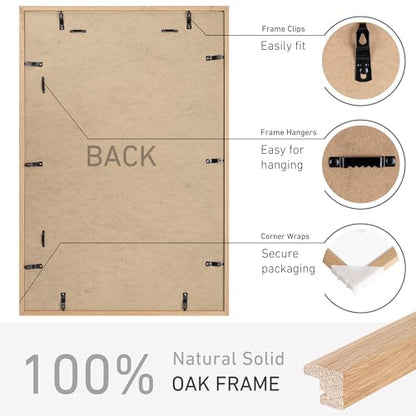 20x30 Poster Frame Set of 2 Natural Solid Oak Photo Frames with 16x24 Removable Mat Wall Hanging Large Handcrafted Frame with HD Plexiglass Wall and Tabletop Display Large Picture Frame - color: Oak, size: 20X30,2P