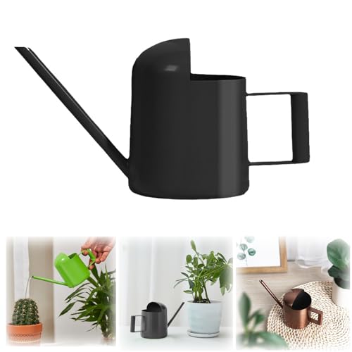 Watering Can for Indoor Plants, Small Watering Cans Sprinkling Pot for Greenhouse Garden Flower Plants, Stainless Steel Long Spout Water Can for Outdoor Watering Plants, 300ML/0.08 Gallon (Black) - color: Black
