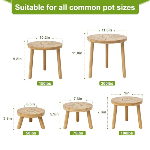 Wood Plant Stands 5-Pack Indoor, Plant Stool, Light Brown | Premium carbonized pine with moisture-resistant, burr-free finish, Snap together in 60 seconds, no tools needed - color: Light Brown, size: 5-Pack