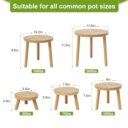 Wood Plant Stands 5-Pack Indoor, Plant Stool, Light Brown | Premium carbonized pine with moisture-resistant, burr-free finish, Snap together in 60 seconds, no tools needed - color: Light Brown, size: 5-Pack