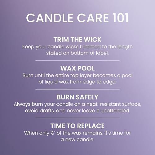 Yankee Candle Lemon Lavender Scented Candle, 22oz Large Jar with up to 150 Hour Burn Time, Giftable, Birthdays - color: Lemon Lavender, size: Large Jar