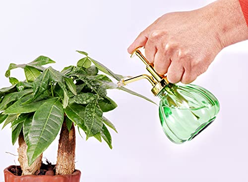 Glass Plant Mister Spray Bottle, 6.5" Green Glass Water Spray Bottle with Gold Top Pump Small Watering Can, Small Plant Sprayer Mister for Indoor Outdoor House, Green+Gold (Green+Gold C) - style: Green+Gold C
