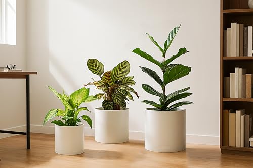 D'vine Dev 3-Pack Plastic Pots & Saucers, 6.5/8/10 in, Oatmeal, 74-V-H-4 | Multi-Size Options, Lightweight Durable, Matte Finish, Cylinder Shape, Drainage Holes, Sleek Design, Detachable Saucer - color: Oatmeal, size: Large