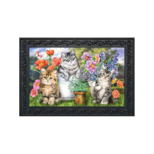 Briarwood Lane Doormat 30x18 Indoor Outdoor Garden Cats Spring for Spring Doormat - color: Garden Cats