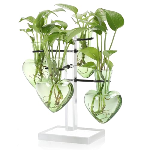 Plants Propagation Stations Plant Terrarium Kit Gift for Women | Birthday Glass Planters For Indoor Plants Home Office Decor Acrylic Plant Accessories - 4 Love Hear Vase - color: Green