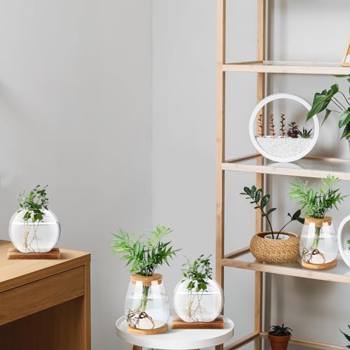 Layhit 4 Pcs Plants Propagation Stations vases Glass Planters with Wooden Lid and Bamboo Stand for Hydroponic Plants Gardening Gifts for Women Mom Home Office Tabletop Decoration(Cute Style) - style: Cute Style