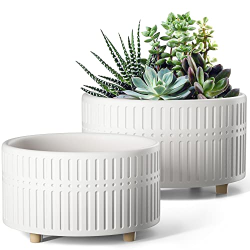 LE TAUCI Succulent Pots, 6.5+8 Inch Ceramic Indoor Plant Pot with Drainage Hole, Shallow Round Succulent Planters, Set of 2, Matte White - color: White