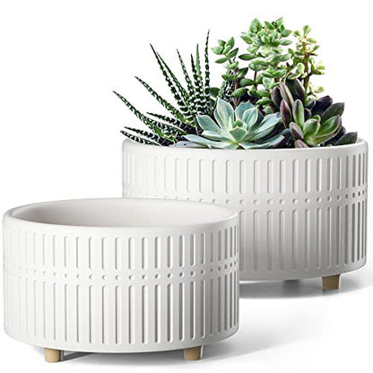 LE TAUCI Succulent Pots, 6.5+8 Inch Ceramic Indoor Plant Pot with Drainage Hole, Shallow Round Succulent Planters, Set of 2, Matte White - color: White