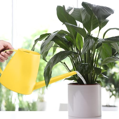 Plastic Watering Can - for Indoor and Outdoor House Plant Garden - with Long Spout - 1/2 Gallon - Yellow - color: Yellow