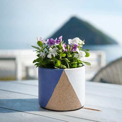 D'vine Dev 2-Pack Cachepot with Clear Pot, 4.5 in, Cobalt Canyon, 93-V-B-3 | Dual-Pot System, Root Visibility, Bottom Watering Support, Enhanced Drainage, Artistic Stoneware Design, Easy Plant Care - color: Cobalt Canyon, size: 4.5” Cachepot + 4“ Clear Gr