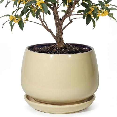 10.3 Inch Ceramic Planter with Saucer,Modern Garden Pots with Drainage Hole Mesh Net, for Indoor Outdoor Use (Pink Yellow) - color: Pink Yellow, size: 10.3 Inch