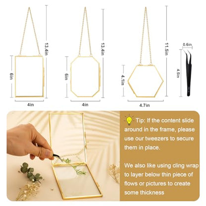 3 Pcs Pressed Flower Frames with Tweezers, Wall Hanging Double Glass Frames with Metal Chain for Pressed Dried Flowers Plants, Golden - color: Gold-3
