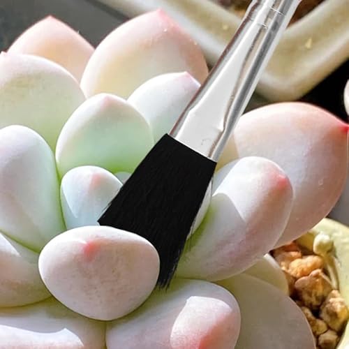 6 Pcs Space Saving Mini Plant Gardening Tools Complete Function Lightweight Handheld Tools for Indoor Desktop Green Plant Daily Caring Work (Blue, Pink) - color: Blue, Pink