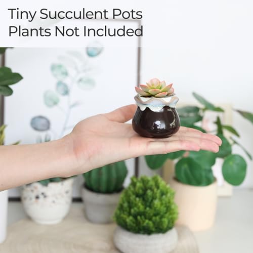 T4U Small Ceramic Succulent Pots with Drainage - Set of 12, Mini Pots for Plants, Home and Office Decor, Plant Lover Gifts for Women | Planters with Drainage, for live cactus plants, bonsai starter pots, indoor windowsill decor, office desk top accents -