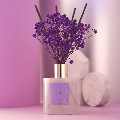Premium Reed Diffuser Set with Preserved Baby's Breath & Cotton Stick Lavender Thyme | 6.76 Fl.oz Scent Diffuser for Bedroom Bathroom Home Décor - size: 6.7 Ounce/1pack