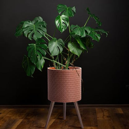 D'vine Dev Planter Pot with Wood Stand, 14 in, Terra Cotta, 88-Z-D-3 | Mid-Century Modern Style, Elevated Plant Display, Drainage Hole and Plug, Functional & Stylish, Modern Indoor Planter - color: Terra Cotta, size: X-Large