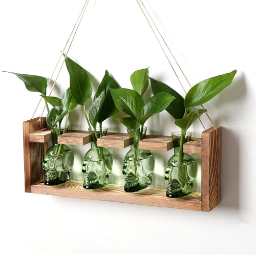 Plant Propagation Stations Halloween Skull Plant Terrarium Kit | Glass Vases Gift for Father Air Planter Home Office Decor - color: Green