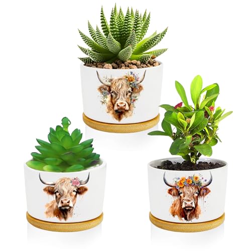 3Pcs Highland Cow Succulent Pots with Drainage and Bamboo Tray,3 Inch | Small Ceramic Planters for Plants,Cactus,Decoration for Office Home,Windowsill,Gifts for Women Mom (No Plants Included) - style: Highland Cow