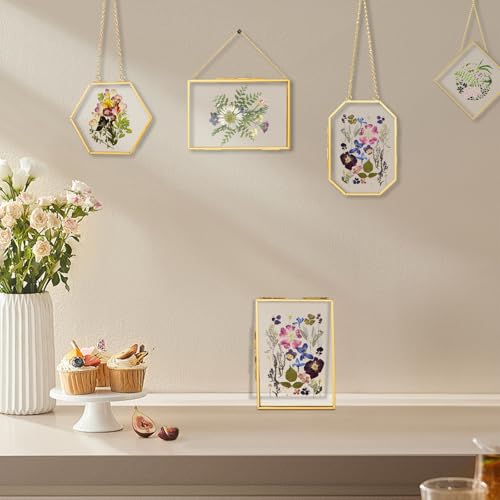 5 Pcs Pressed Flower Frames with Tweezers, Wall Hanging Tabletop Display Double Glass Frames with Metal Chain for Pressed Dried Flowers Plants, Horizontal and Vertical Picture Frame, Golden - color: Gold-5