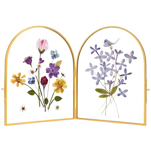 REDHUGO Double Glass Frame for Pressed Flowers Arc Gold, 8×10 Inches | Handmade, Pressed Flower Frame, Hinged Tabletop Brass Photo Frames, Dried Flower Display Folding Picture Frame for Home - color: Gold, size: 8L" x 10W"