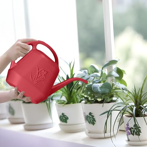 Plant Watering Can - 1/2 Gallon - Wine Red | With Long Spout for Watering-Home Indoor and Outdoor Garden - color: Wine Red