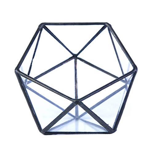 Glass Terrarium Storage Box Jewelry Holder Glass Geometric Tabletop Succulent Plant Box Planter Holder for Case Black Go - color: Black