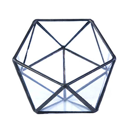 Glass Terrarium Storage Box Jewelry Holder Glass Geometric Tabletop Succulent Plant Box Planter Holder for Case Black Go - color: Black