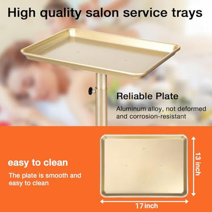 Salon Tray on Wheels, Champagne Gold Salon Tray Cart with Adjustable Height, Hair Stylist Tray, Metal Tattoo Tray, Suitable for SPA and Dental Tray - color: Champagne Gold