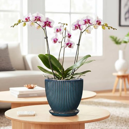 6 Inch Plant Pot, Ceramic Flower Pots for Indoor Plants, Round Planters with Drainage Hole and Saucer, Decorative Small Modern Flower Pots, Home Room Decor, House Warming Gifts, Retro Blue - size: 6 Inch, style: Retro