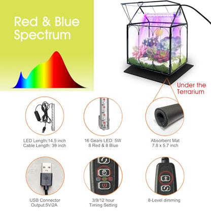 RIFNY Plant Terrarium with Grow Light, Glass Terrarium 7.1 x 4.8 x 8.8 Inch | Terrarium with LED Grow Light and Absorbent Mat for Venus Fly Trap Succulent Live Air Plants Indoor Home Office Decor - size: Black-Small with Plant Light