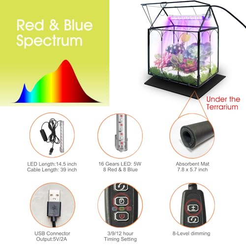 RIFNY Plant Terrarium with Grow Light, Glass Terrarium 8.9 x 5.9 x 9.9 Inch | Terrarium with LED Grow Light and Absorbent Mat for Venus Fly Trap Succulent Live Air Plants Indoor Home Office Decor - size: Black-Large with Plant Light