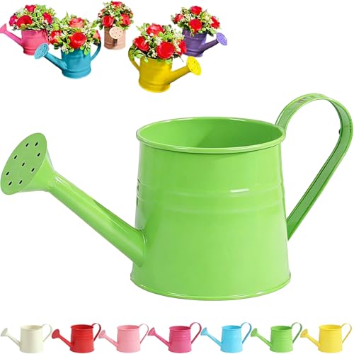 Tinplate Watering Kettle 1L, Mini Metal Watering Can with Long Spout and Handle, Vintage Flower Sprinkling Can for Indoor Plants, Patio and Garden Use (Green-A02) - color: Green-a02