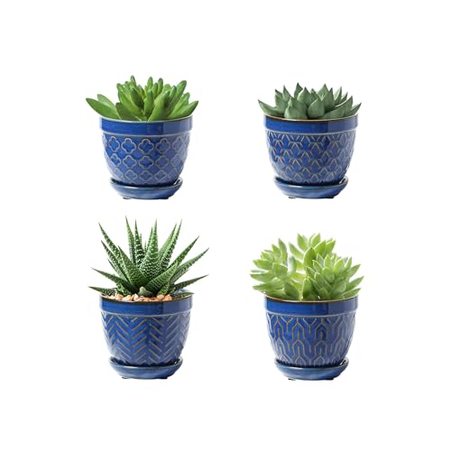 Sureasy Succulent Pots, 3.5 Inch Flower Pots for Indoor Plants, Small Plant Pots with Saucer & Drainage, Decorative Ceramic Planters for Succulent, Cactus, Set of 4, Blue - color: Blue, size: 3.5 inch