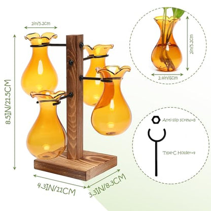 Plants Propagation Stations Bulb Glass Propagation Birthday Gift for Women | Garden Plant Lovers - 4 Bulb - color: Amber