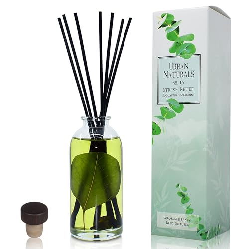 Reed Diffuser Set, Eucalyptus Spearmint - Stress Relief | Fragrance your Space, Fresh Scented Room Freshener and Home Decor, Home Gift Idea. Vegan - color: Eucalyptus Spearmint
