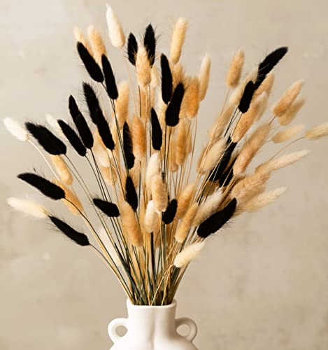 100 Stems Bunny Tails Pampas Grass Dried Flowers | 30pcs Black, 30pcs White, 40pcs Natural Brown, Boho Home & Kitchen Decor, Pampas Grass Decor