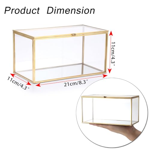 Hipiwe Gold Glass Decorative Boxes Rectangular Keepsake Shadow Box with Lid | Mini Garden Jewelry Display Case Vanity Lidded Boxes for Wedding Cards, Trinkets, Photos & Perfume - 8.3"x4.3"x4.3"